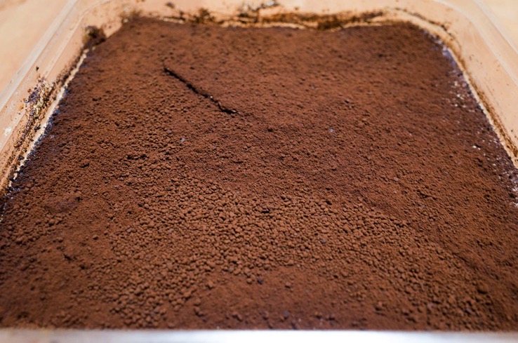 costco-thiramisu-03.jpg Costco thiramisu 03