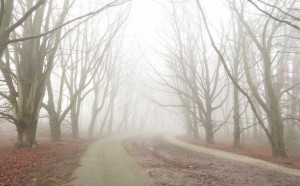 もやもや解消＆詐欺回避！知らない電話番号からの着信ありを解消するアプリ「Whoscall」