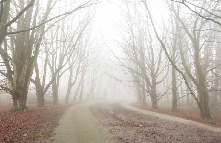 もやもや解消&詐欺回避!知らない電話番号からの着信ありを解消するアプリ「Whoscall」