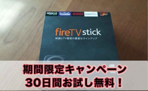 子育て世代に魅力がいっぱい！Amazon Fire TVでテレビが生まれ変わる