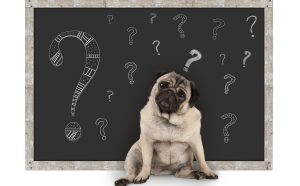 iPhoneのApple Care をau経由ではなく、あとからAppleに直接申し込んだ理由