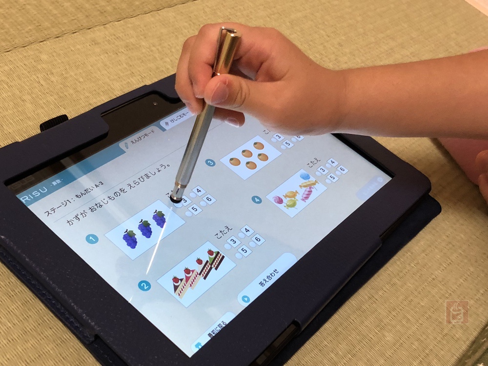 りす算数の2種類の復習